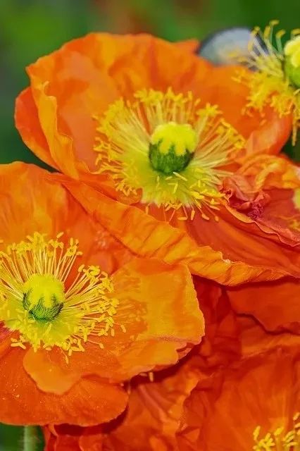 办公家具流行色